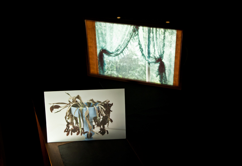 Photograph of a vase with tulips and a photograph of a window mounted on a light box